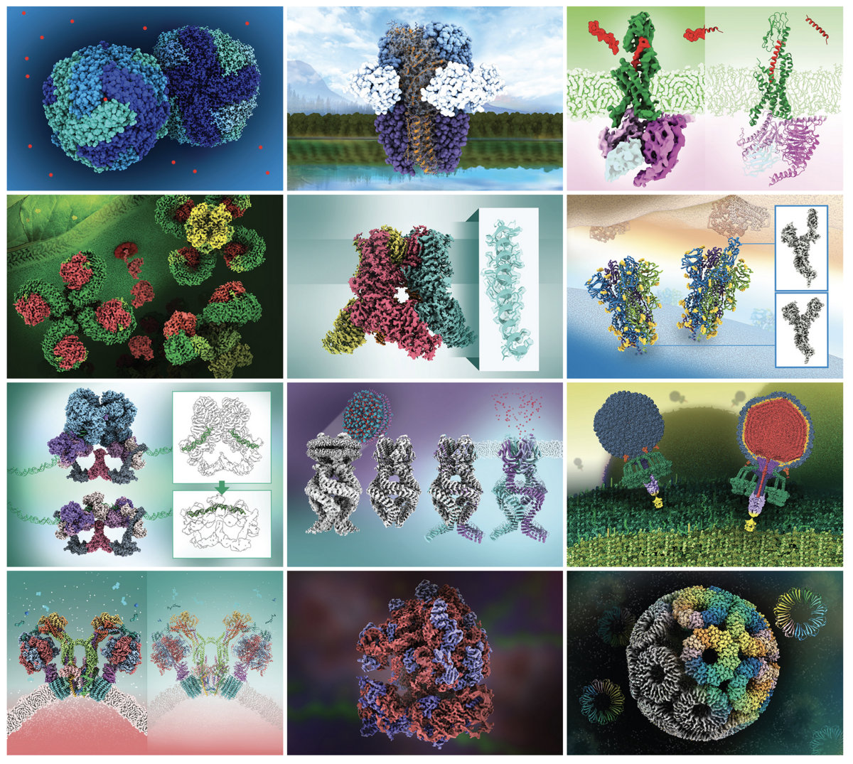 Collage of 12 calendar images highlighting different PDB structures determined by 3DEM