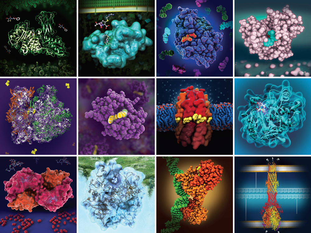 <I><a href="https://pdb101.rcsb.org/browse/antimicrobial-resistance">PDB-101 also hosts materials that show how PDB structures help our understanding of resistance to antibiotics and develop new ways to fight infection.</a></I>