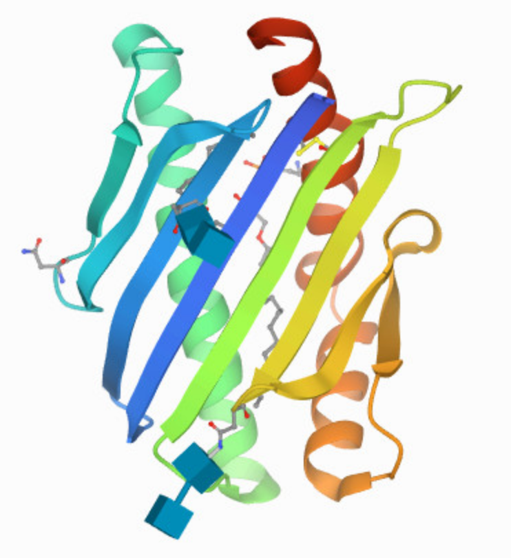 <a href="https://www.rcsb.org/structure/1L8J">PDB structure 1L8J</a>